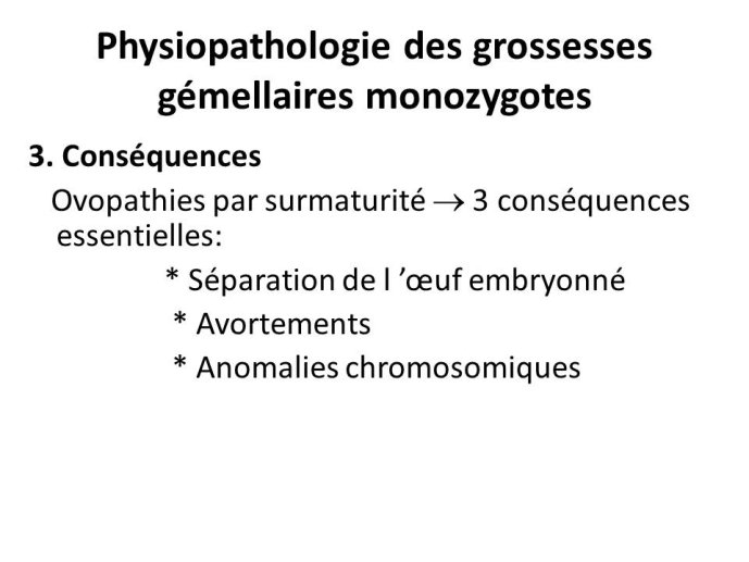 Diapositive16.JPG