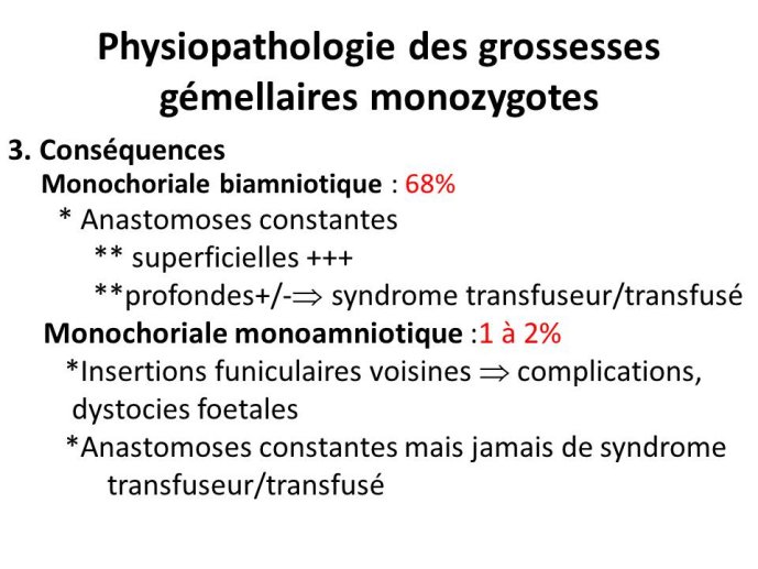Diapositive19.JPG