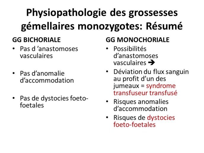 Diapositive21.JPG