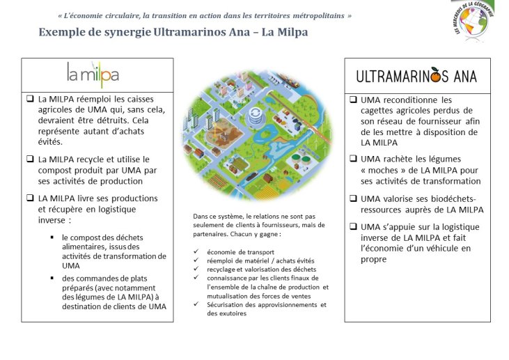 Diapo 23 Exemple de synergie Ultramarinos Ana – La Milpa (3)