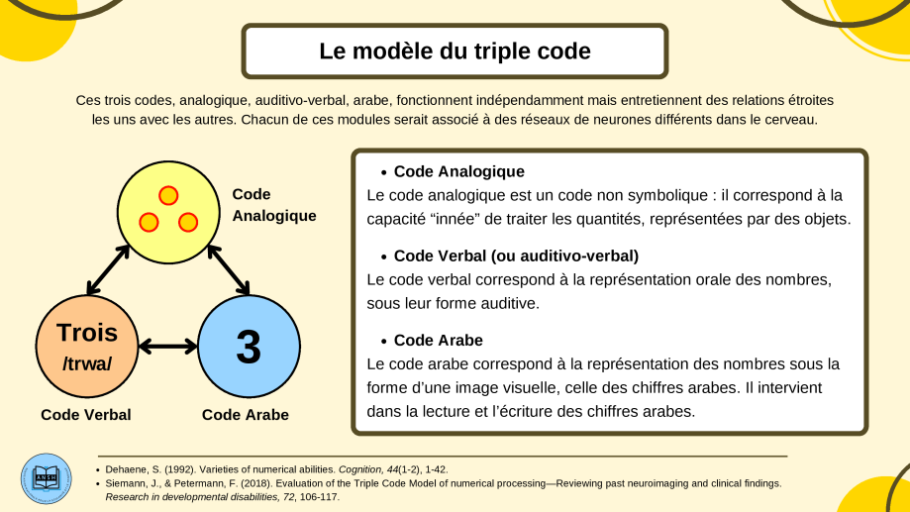 Diapo 8_Le modèle du triple code