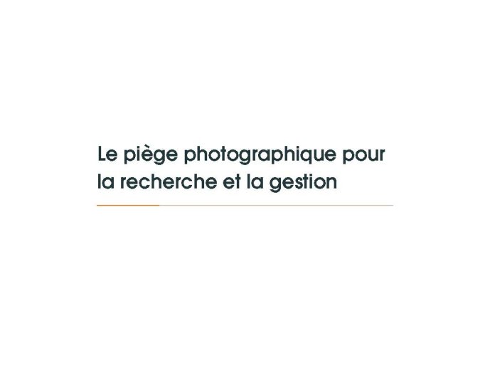 Diapo 12