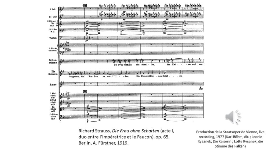 Diapo 12