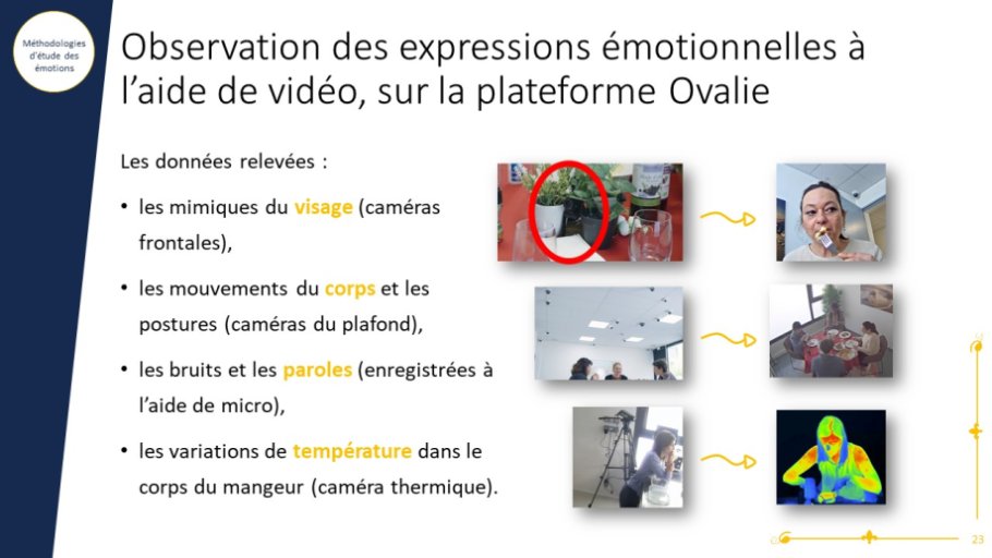 Observation des expressions émotionnelles à l’aide de vidéo, sur la plateforme Ovalie