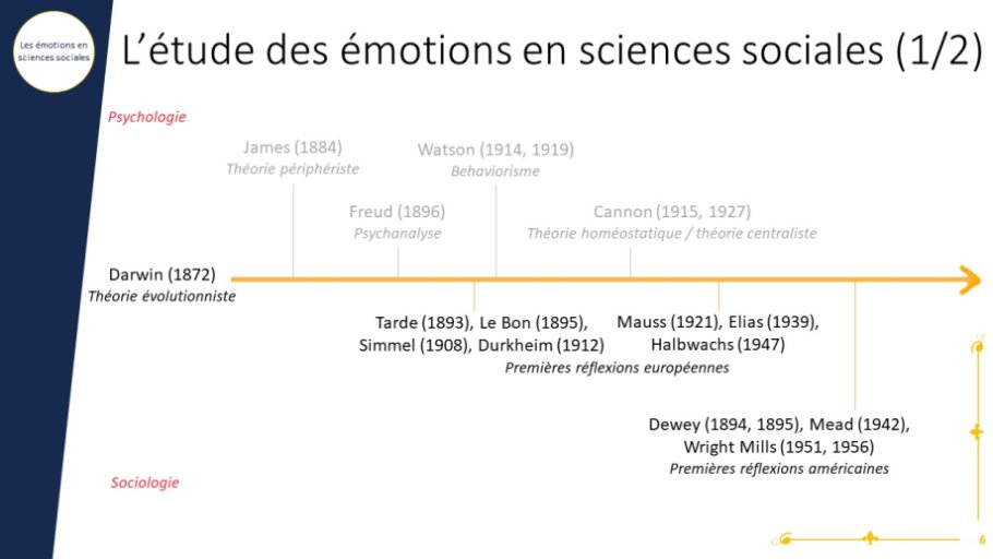 L’étude des émotions en sciences sociales (1/2)