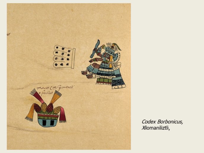 Diapo 17 Codex Borbonicus, Xilomaniliztli,