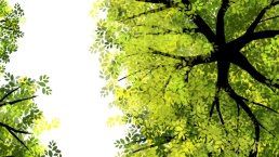 Journée Transitions écologiques et changement climatique