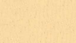 Couleur de fond de l'affiche du colloque "Anatomie du franquisme"