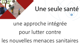 Santé globale, une seule santé : état des lieux de la recherche actuelle