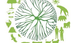 Logo Assemblée de la Terre