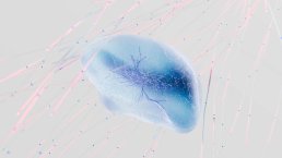 Fête de la science 2025 - « Intelligence(s) »