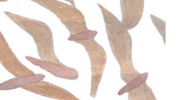 Décor beige et blanc