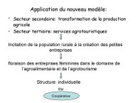 Koutsou-présentation effets08.jpg