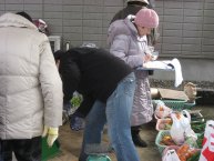 Hiroko AMEMIYA-32.jpg