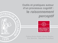 Raisonnement-perceptif-01.JPG