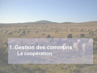 Biens-communs-Dutilly-16.JPG