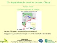 PPT_GIORGIS_D-11..jpg