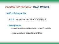 Diapositive5.JPG