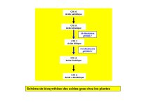 OGM_SimonedeBeauvoir_Page_17.jpg