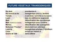 OGM_SimonedeBeauvoir_Page_21.jpg