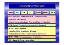OGM_SimonedeBeauvoir_Page_07.jpg