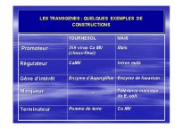 OGM_SimonedeBeauvoir_Page_08.jpg