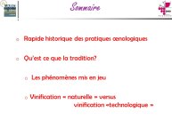 Taillandier-Albi2013-02.JPG