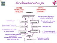 Taillandier-Albi2013-09.JPG