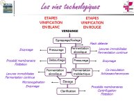 Taillandier-Albi2013-10.JPG