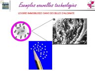 Taillandier-Albi2013-11.JPG