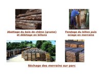 Comtat-Albi2013-06.jpg