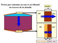 Comtat-Albi2013-17.jpg