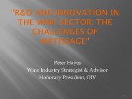 Peter-Hayes-Toulouse2015-02.JPG