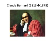 Lordat-Nespoulous-16.jpg