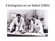 Lordat-Nespoulous-25.jpg