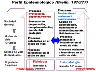 Breihl-IDA2015-130.jpg