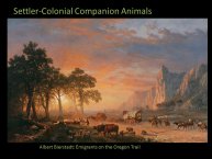 Lynch-Companion-2016-09.JPG