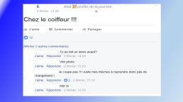 Lemeilleur-Medias sociaux-Toulouse 2017-03.JPG