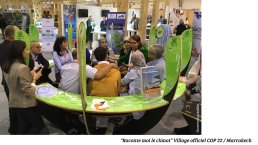 LeNir-Comm1possible-mars 2017-14.jpg