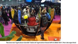 LeNir-Comm1possible-mars 2017-16.jpg