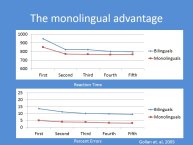 Hernandez-BiMo 2017-29.JPG