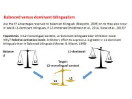 Hofweber BiMo 2017-03.JPG
