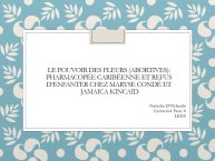 dOrlando-critiques feministes-01.JPG