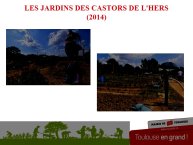 Cosme-Agriculture urbaine 2017-13.JPG