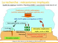 Dumat-Agriculture urbaine-pollutions sols-05.JPG