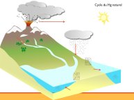 Dumat-Agriculture urbaine-pollutions sols-06.JPG
