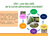 Intro-Agricultures urbaines 2017-03.JPG