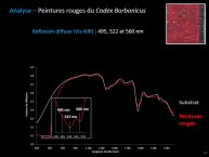 Pottier-Borbonicus2017-19.JPG