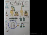 DupeyGarcia-Borbonicus2017-14.JPG