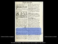 DupeyGarcia-Borbonicus2017-27.JPG